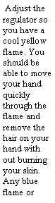 Text Box:  Adjust the regulator so you have a cool yellow flame. You should be able to move your hand  quickly through the flame and remove the hair on your hand with out burning your skin. Any blue flame or