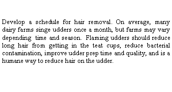 Text Box:    Develop a schedule for hair removal. On average, many dairy farms singe udders once a month, but farms may vary depending  time and season.  Flaming udders should reduce long hair from getting in the teat cups, reduce bacterial contamination, improve udder prep time and quality, and is a humane way to reduce hair on the udder.